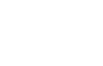 Logo of WiiLink