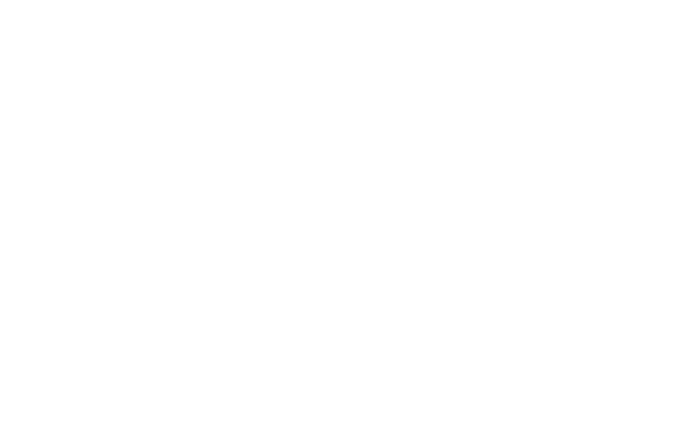 File:Wiilinklogo.png